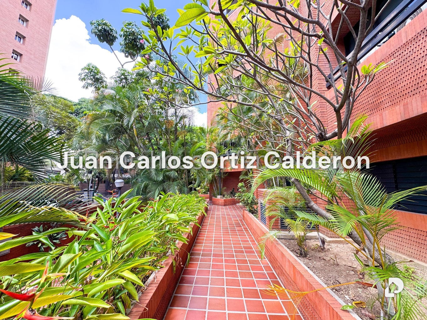 Apartamento en El Rosal, Caracas – 5