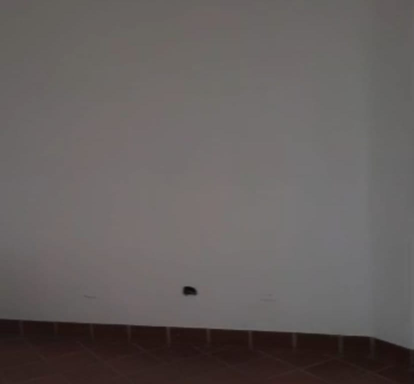 Local comercial en Libertador, Barquisimeto - 1