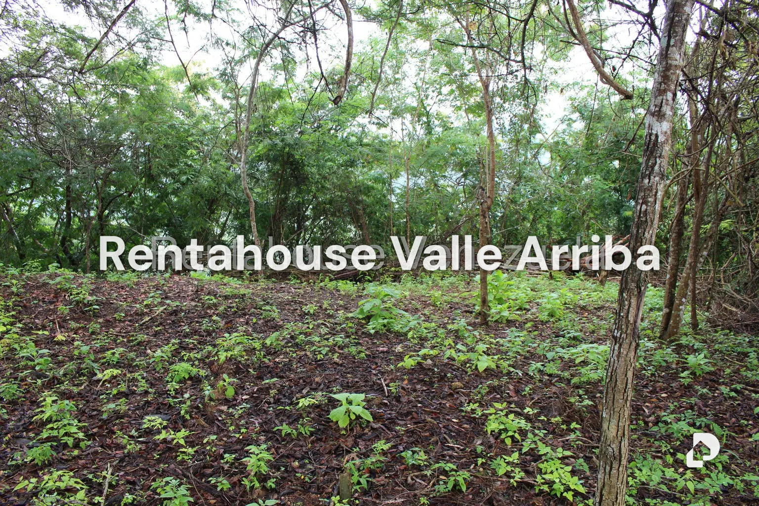 Terreno en El Hatillo, Caracas – 7