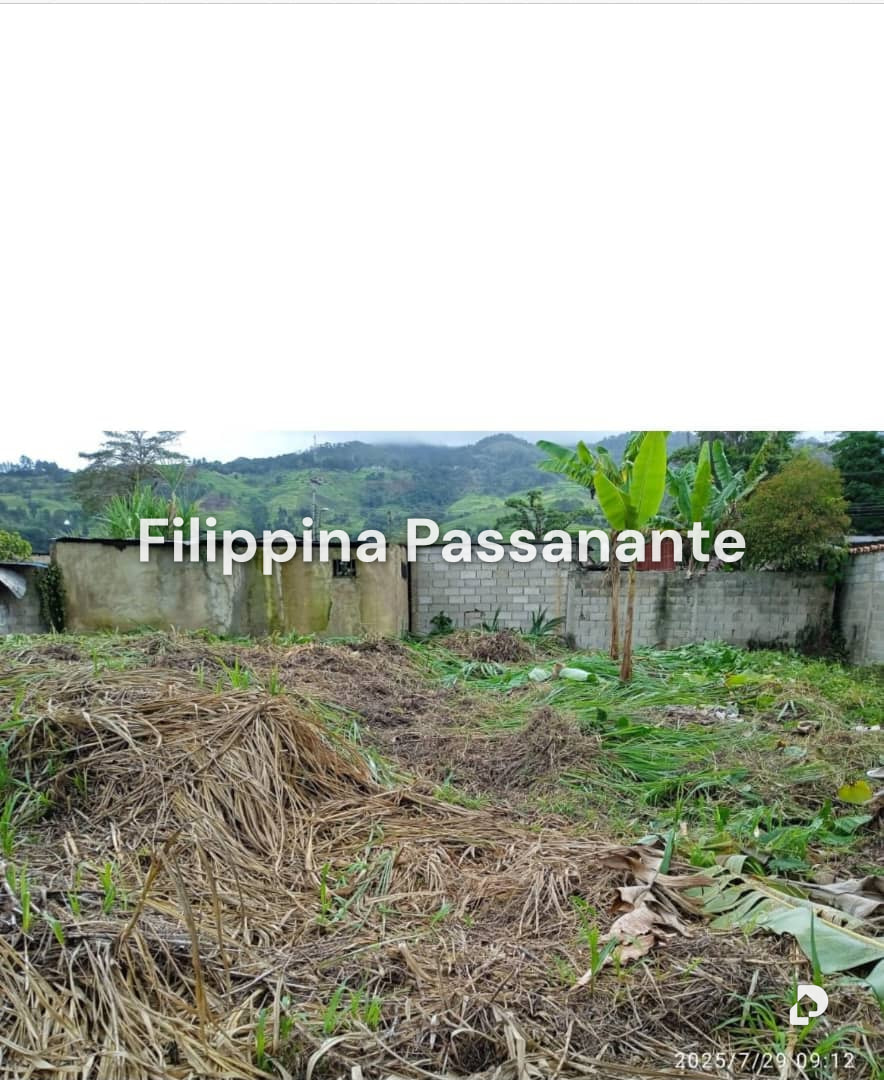 Terreno en Caripe – 2