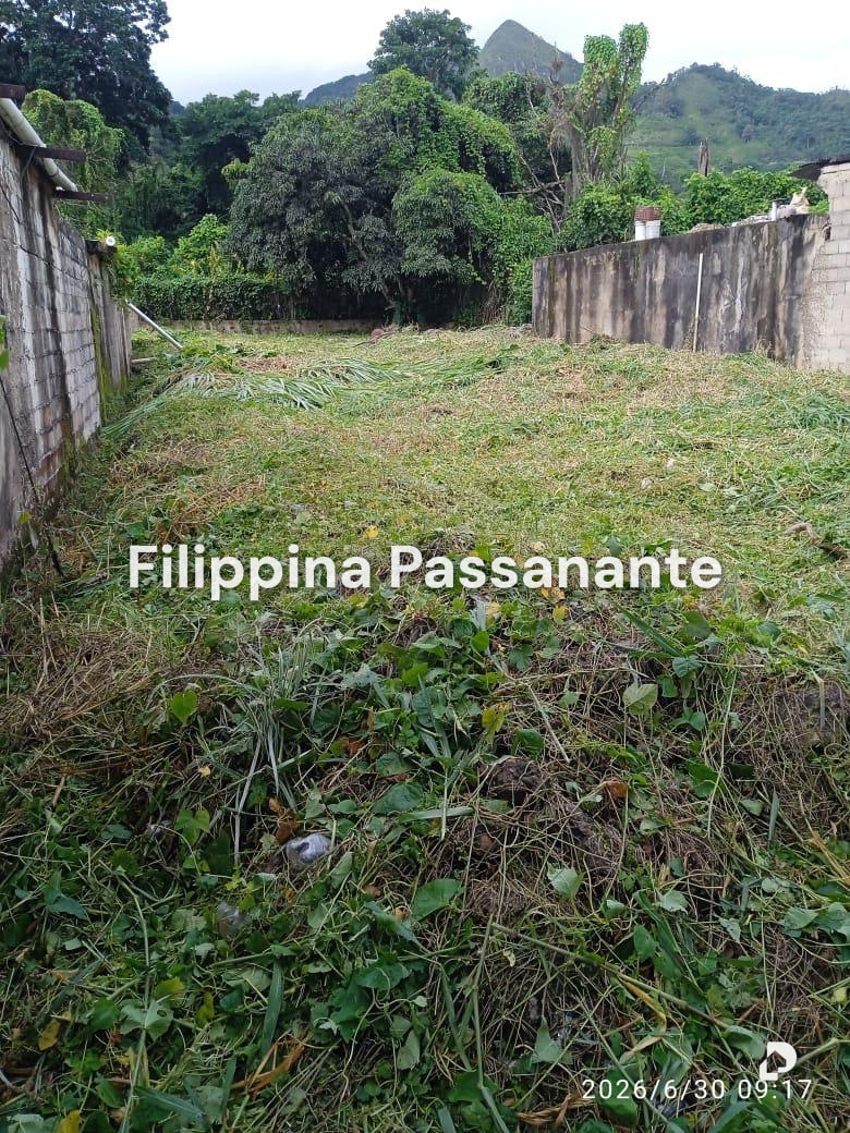 Terreno en Caripe – 3