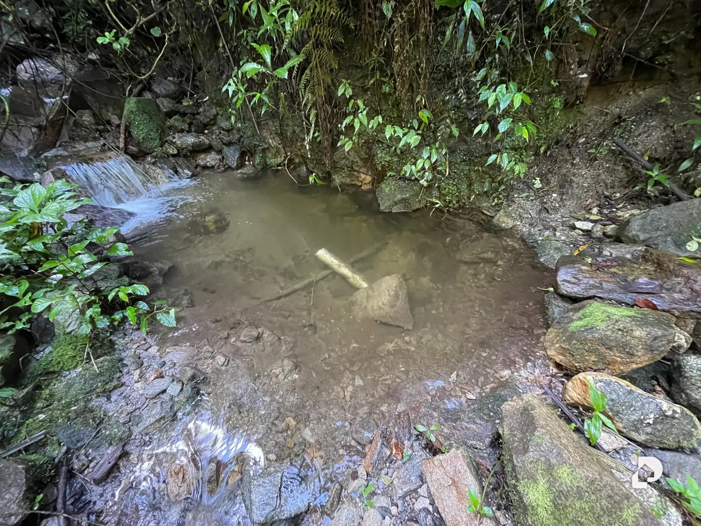 Finca en Las Cuadras, El Escorial, El Valle – 35