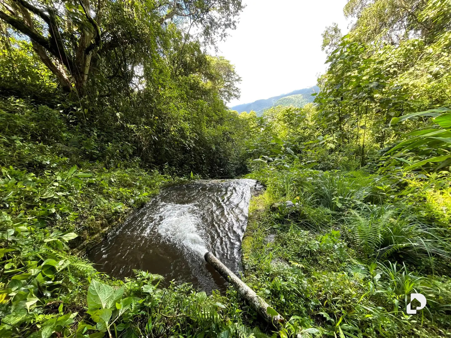 Finca en Las Cuadras, El Escorial, El Valle – 3