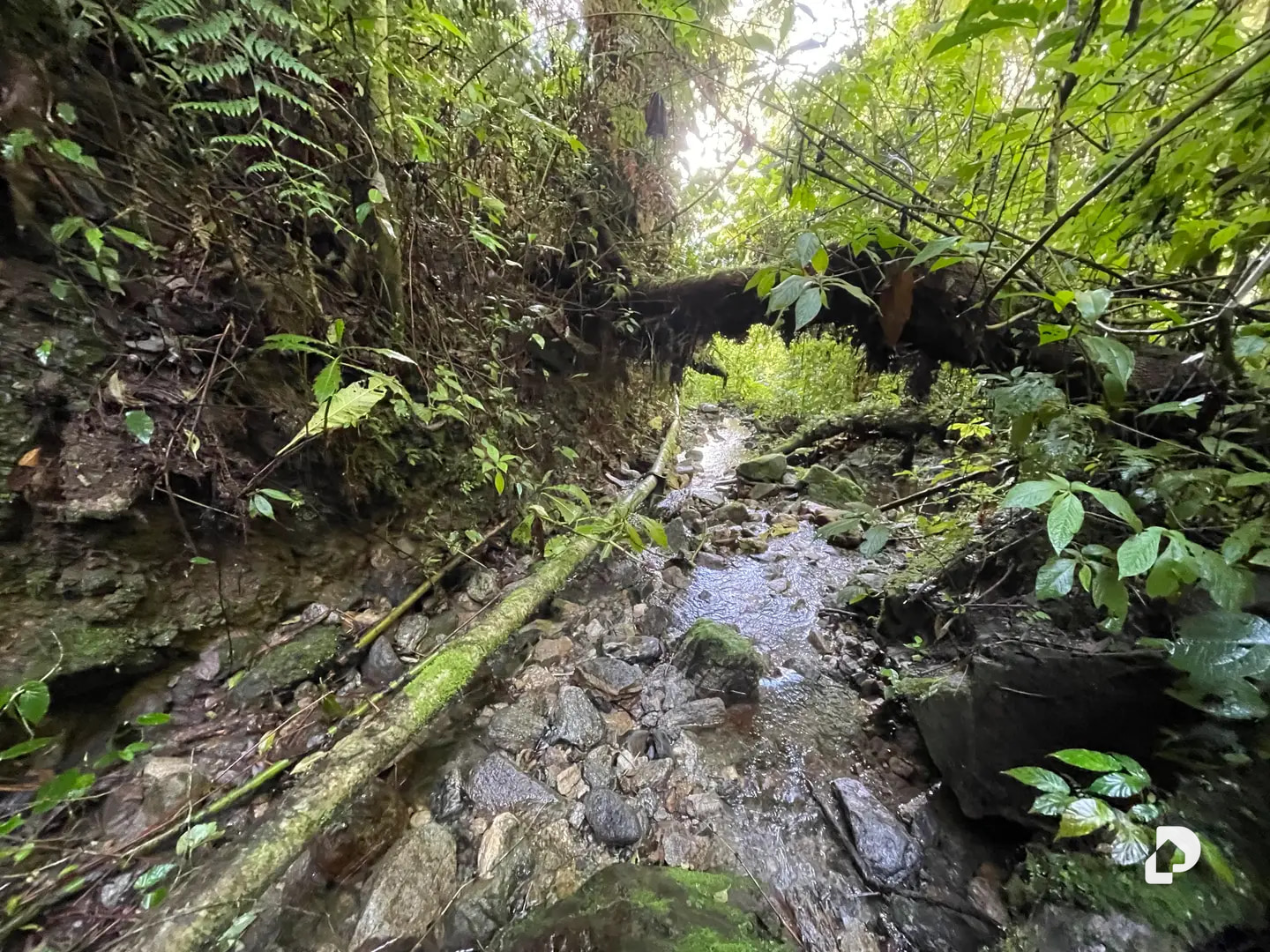 Finca en Las Cuadras, El Escorial, El Valle – 33