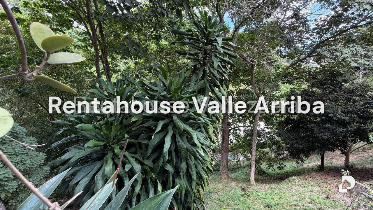 Apartamento en Colinas de Bello Monte, Caracas – 15