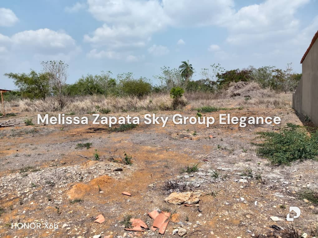 Terreno en Barquisimeto – 5