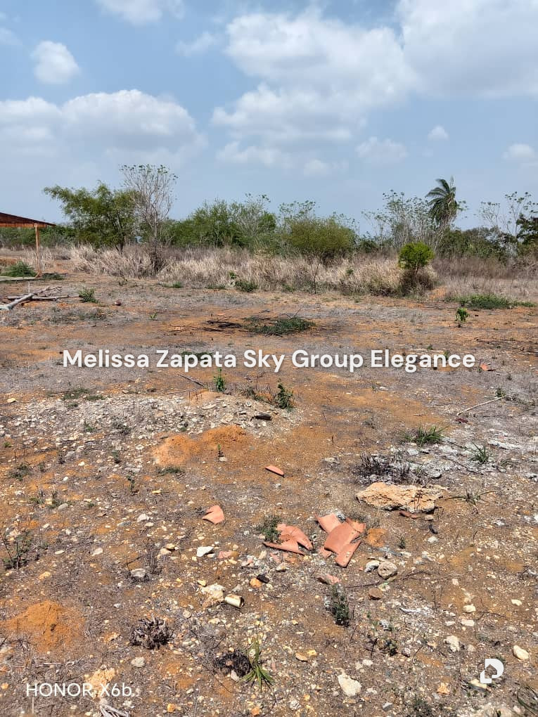 Terreno en Barquisimeto – 2