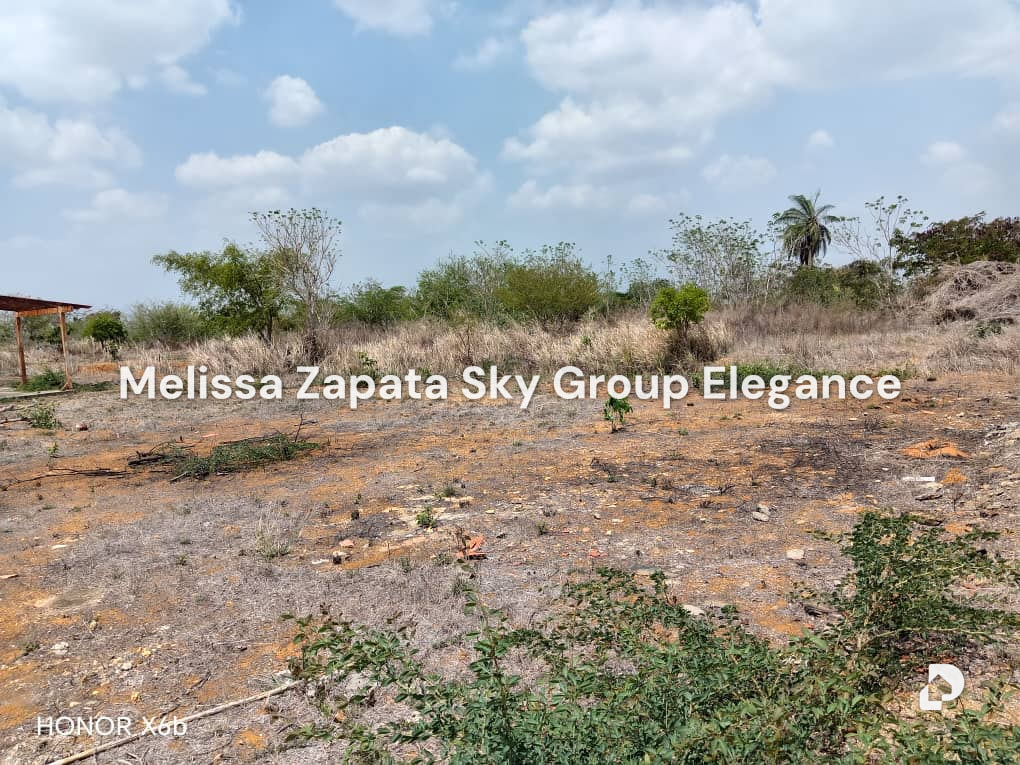 Terreno en Barquisimeto – 4