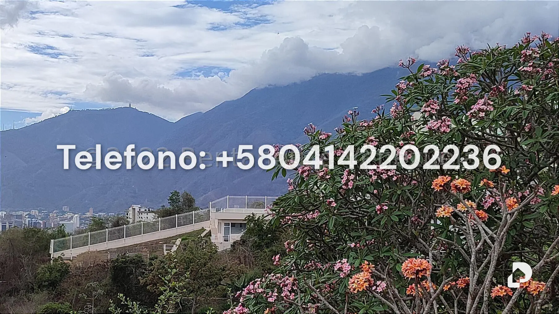 Casa en El Cafetal, Caracas – 24