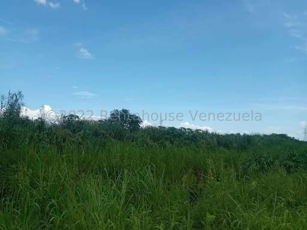 Terreno en Flor Amarillo, Valencia - 1