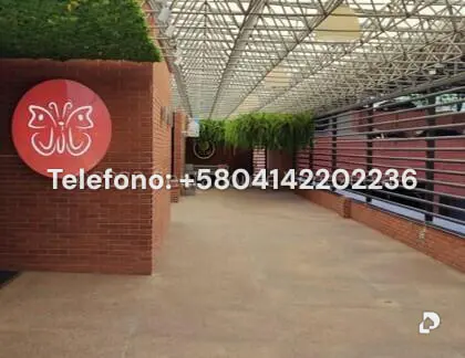 Oficina en Las Mercedes, Caracas – 2