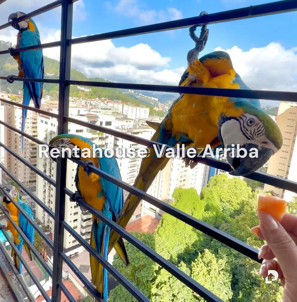 Apartamento en El Cigarral, Caracas – 8
