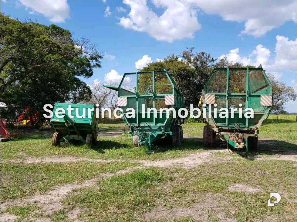 Farm in El Baúl – 16