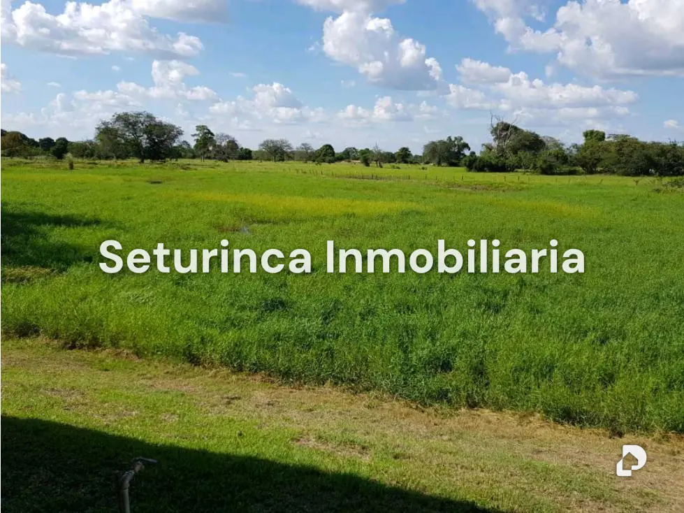 Farm in El Baúl – 7