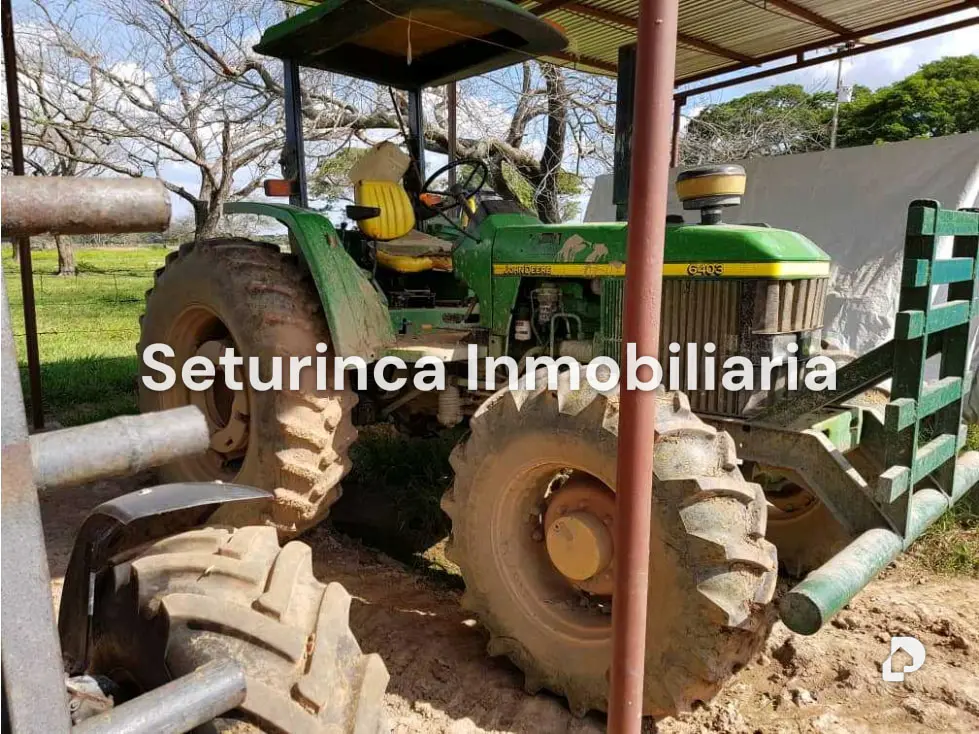 Farm in El Baúl – 21