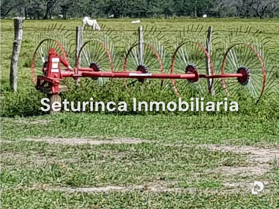 Farm in El Baúl – 14