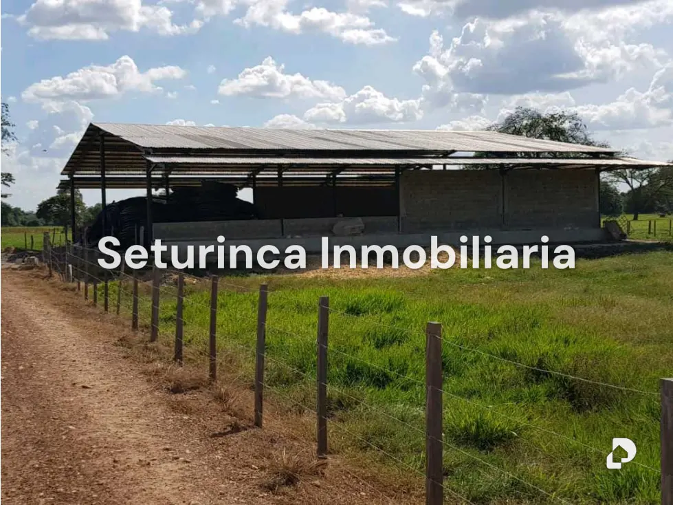 Farm in El Baúl – 15