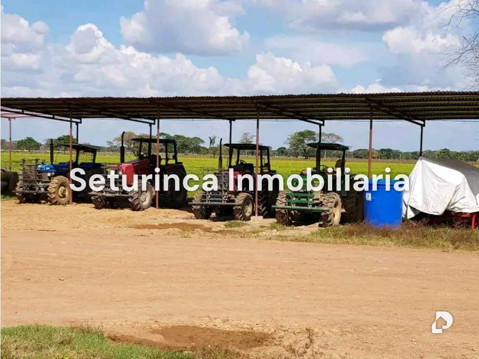 Farm in El Baúl – 22