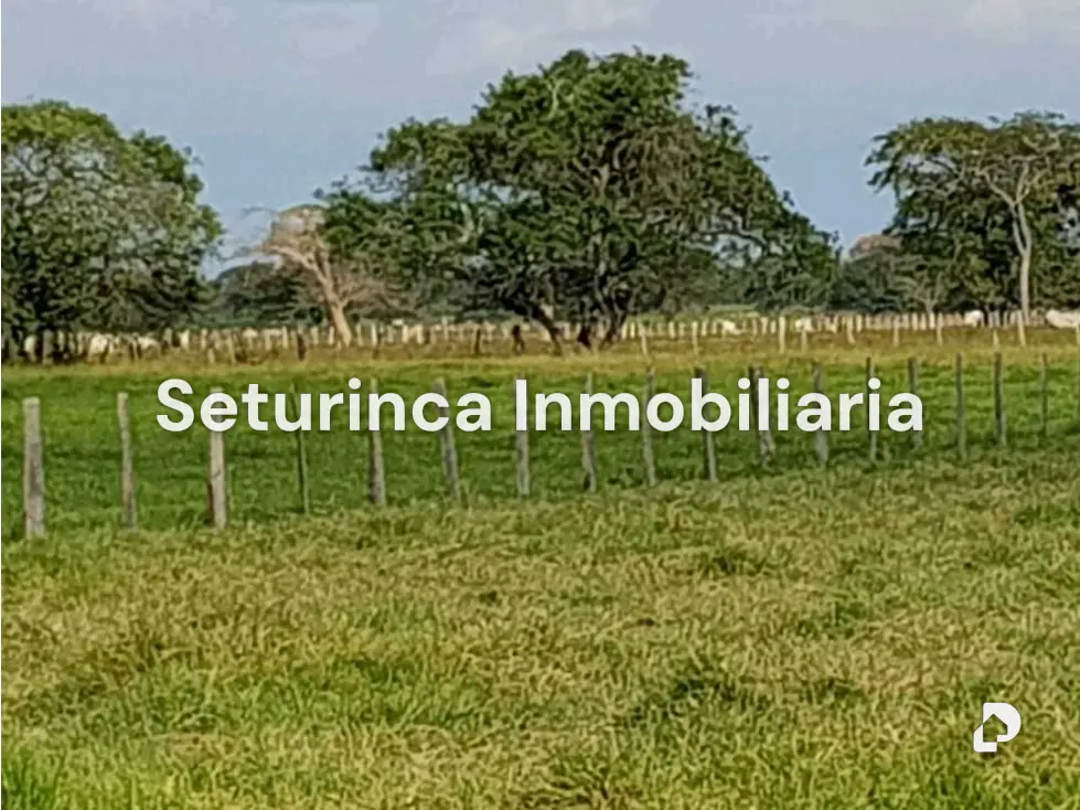 Farm in El Baúl – 3