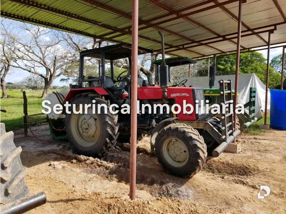 Farm in El Baúl – 18