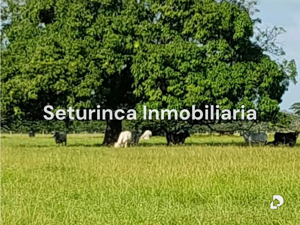 Farm in El Baúl – 12