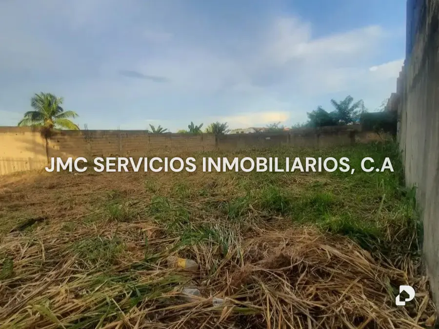 Land in Juanico, Maturín – 4