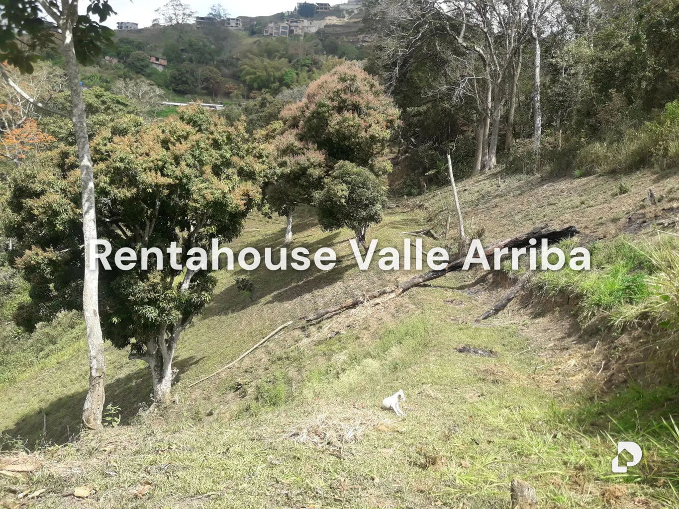 Terreno en Oripoto, Caracas – 10