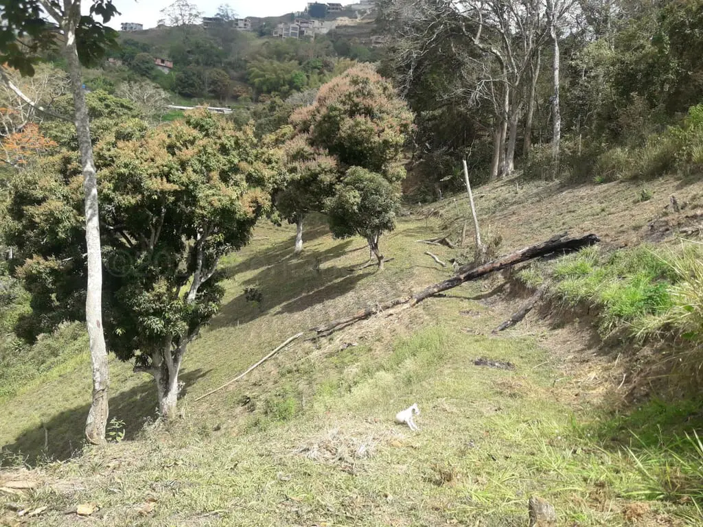 Terreno en Oripoto, Caracas - 1