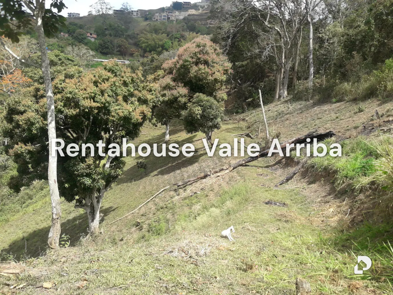 Terreno en Oripoto, Caracas – 1