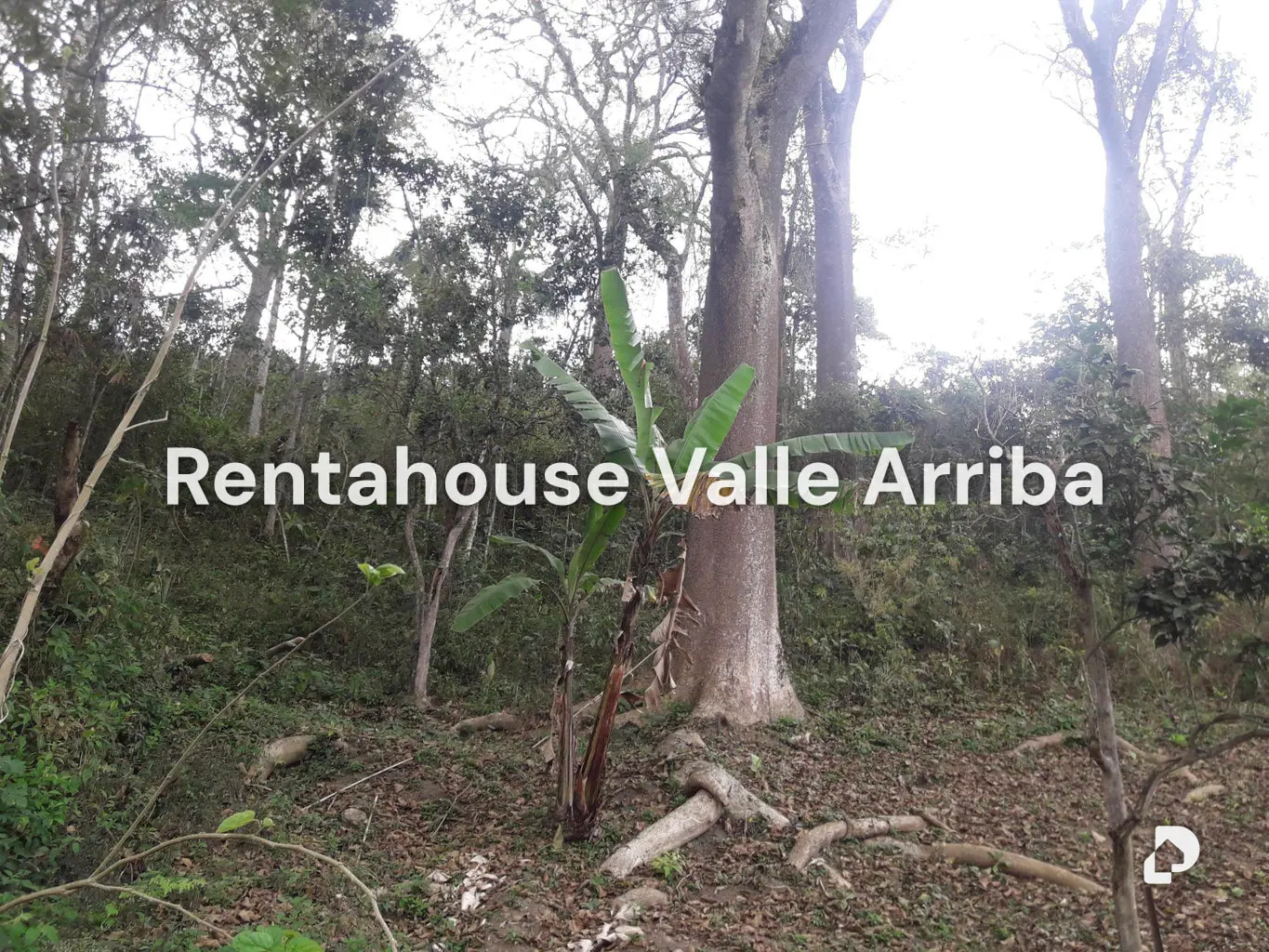 Terreno en Oripoto, Caracas – 15