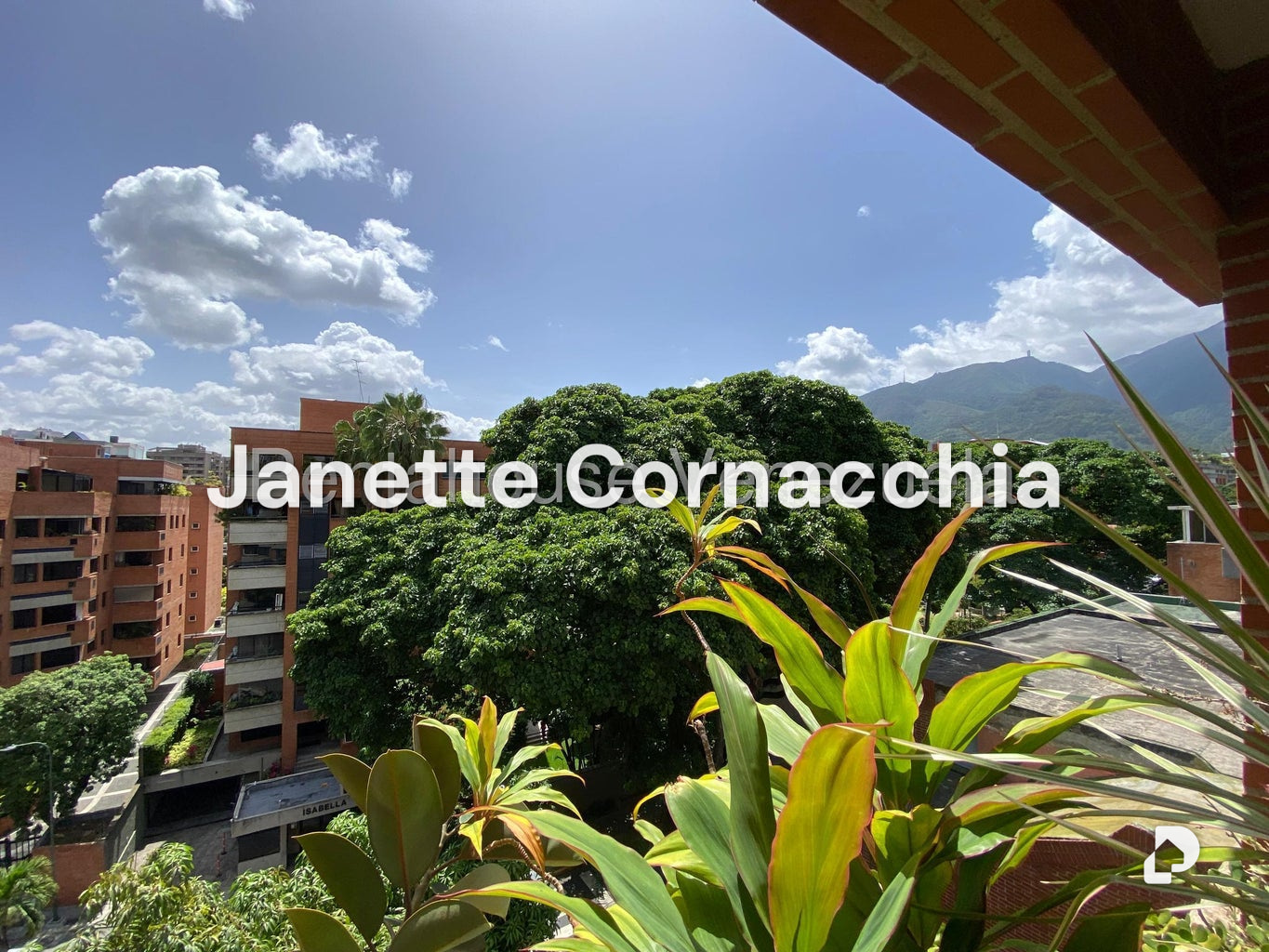 Apartamento en Campo Alegre, Caracas – 11