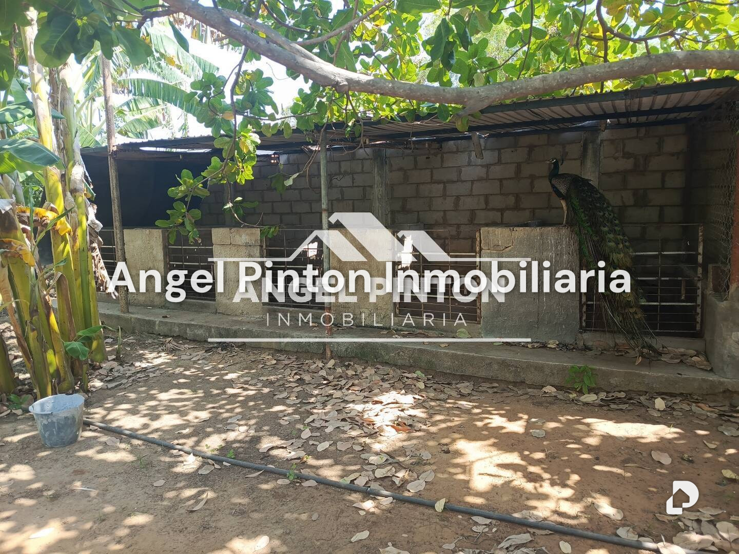 Terreno en Barrio Independencia, Maracaibo – 8