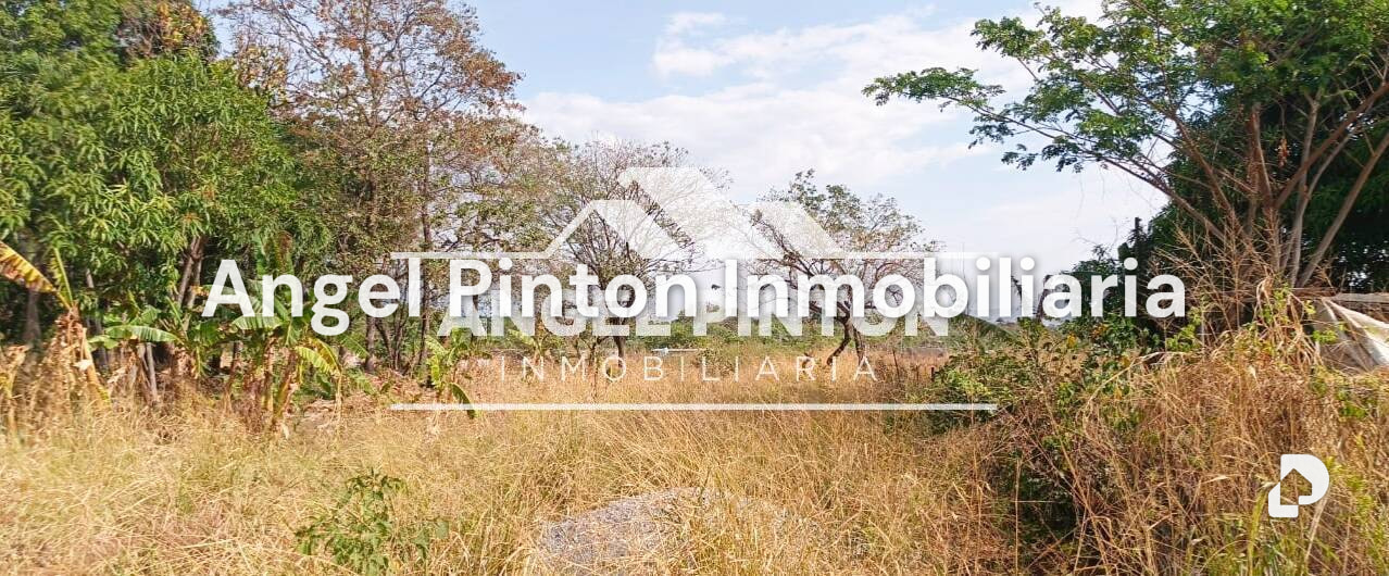 Terreno en Los Rieles, Acarigua – 3
