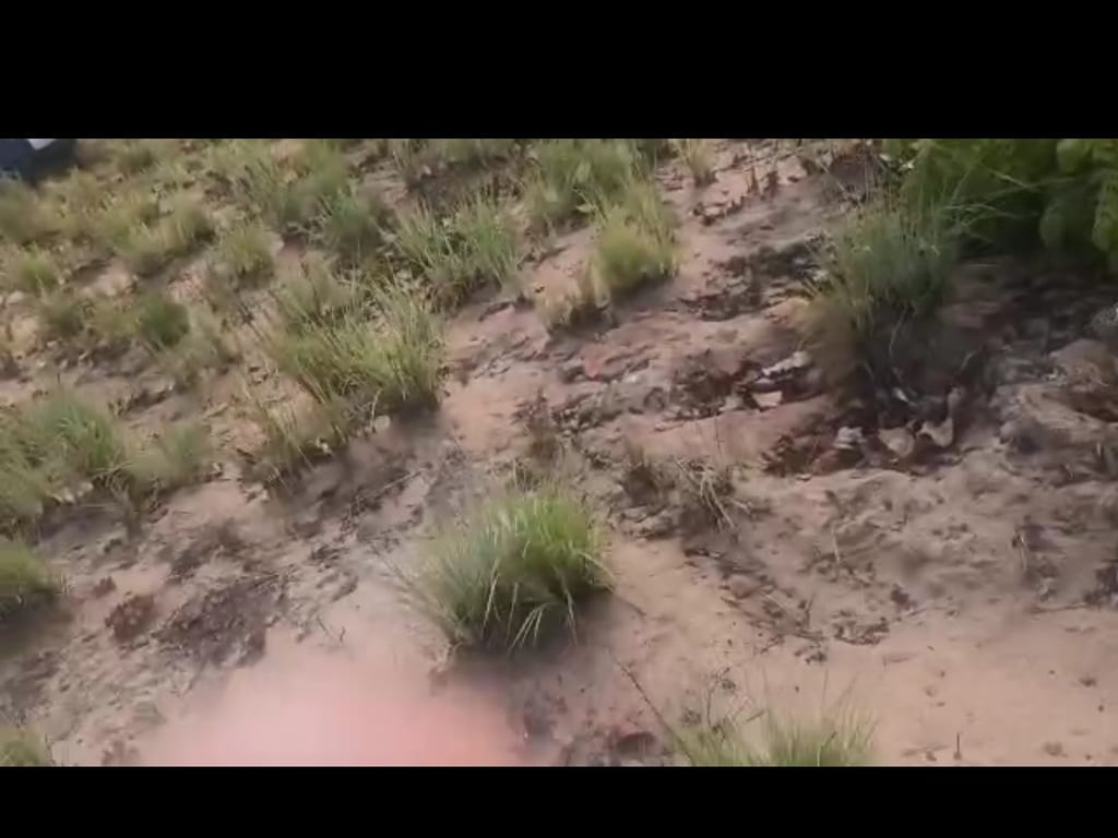 Terreno en Caicara del Orinoco - 1