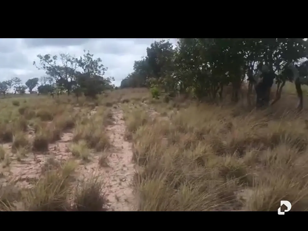 Terreno en Sur, Caicara del Orinoco – 2