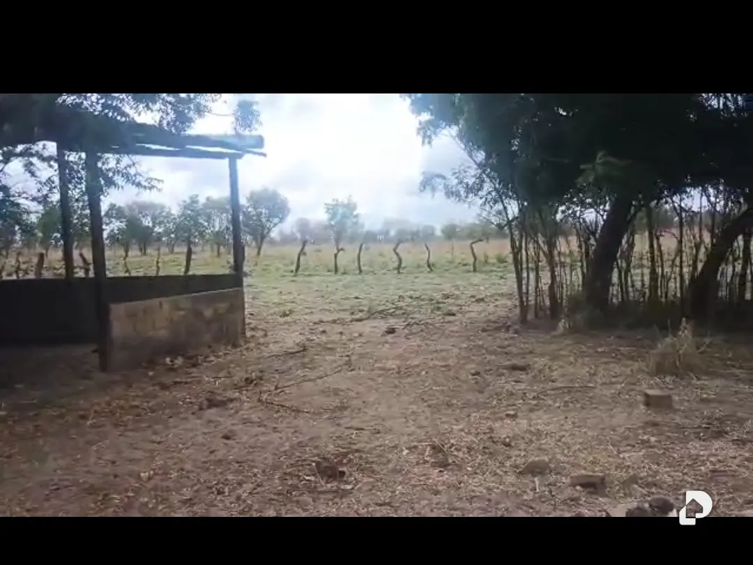 Terreno en Sur, Caicara del Orinoco – 5