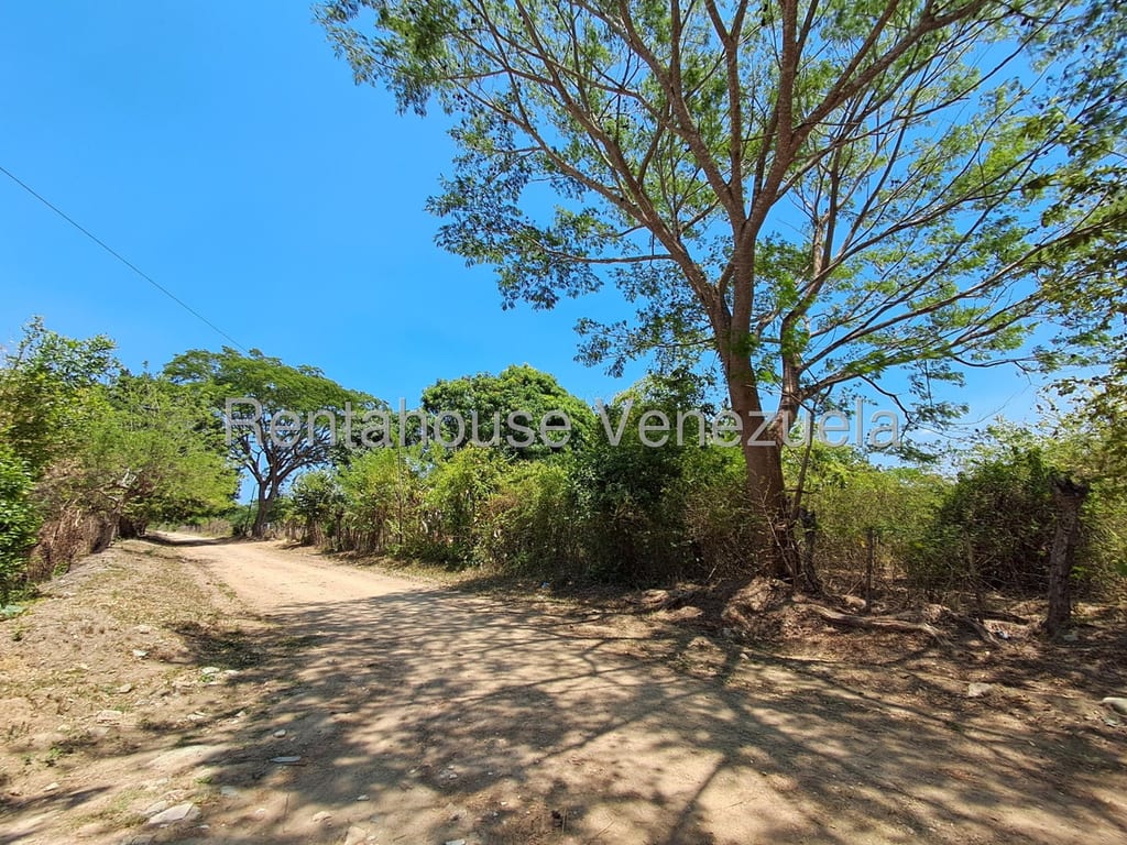 Land in Tocuyito, Valencia - 1