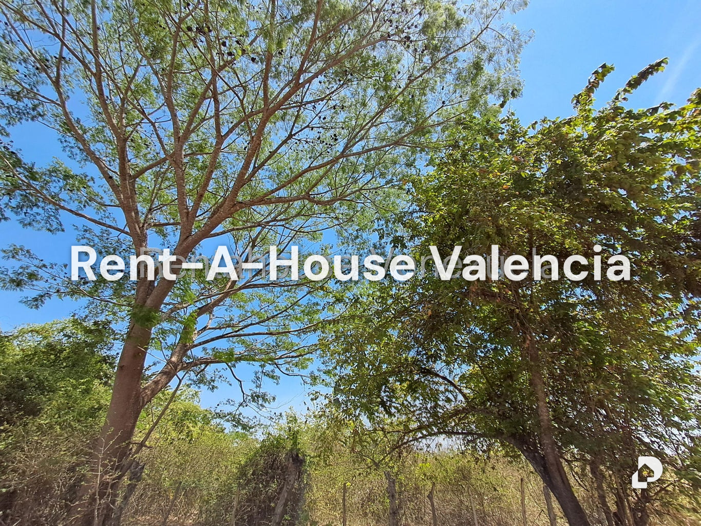 Terreno en Tocuyito, Valencia – 5
