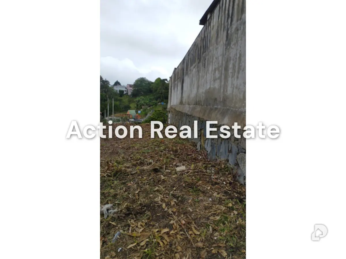 Terreno en San Antonio de Los Altos, Altos Mirandinos – 9