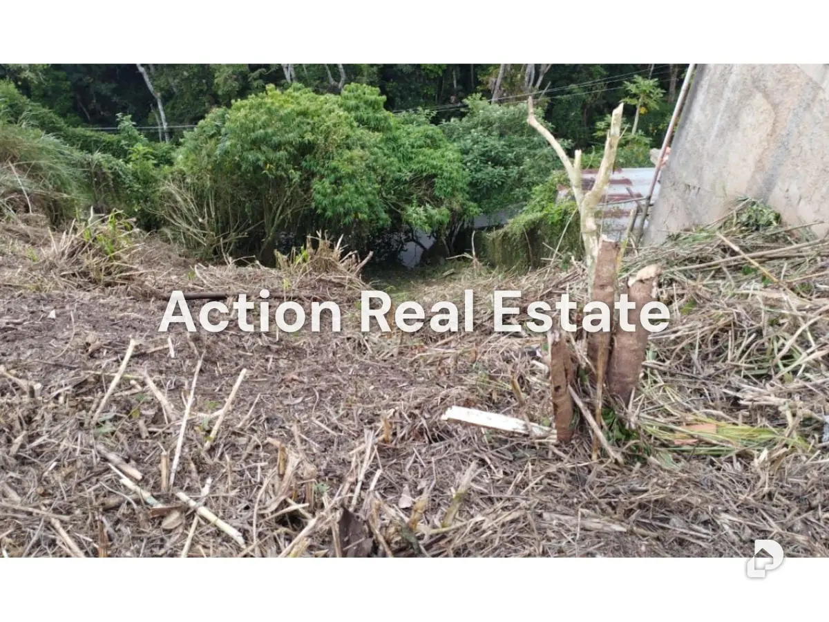 Terreno en San Antonio de Los Altos, Altos Mirandinos – 8