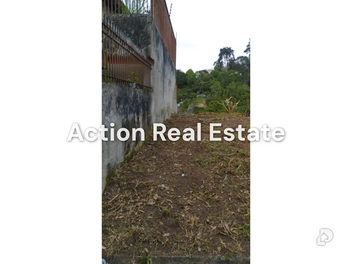 Terreno en San Antonio de Los Altos, Altos Mirandinos – 10