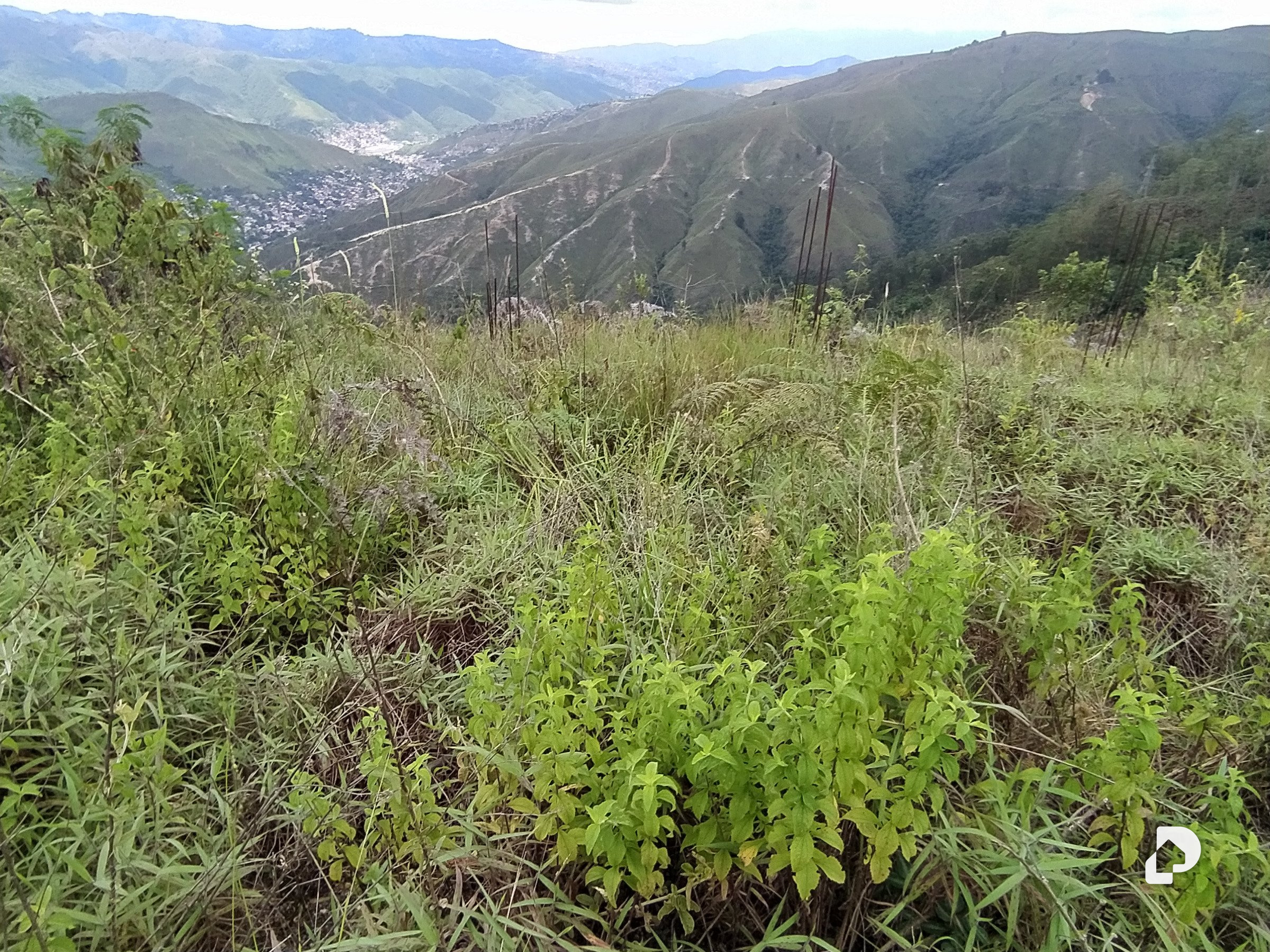 Terreno en Municipio Carrizal – 3