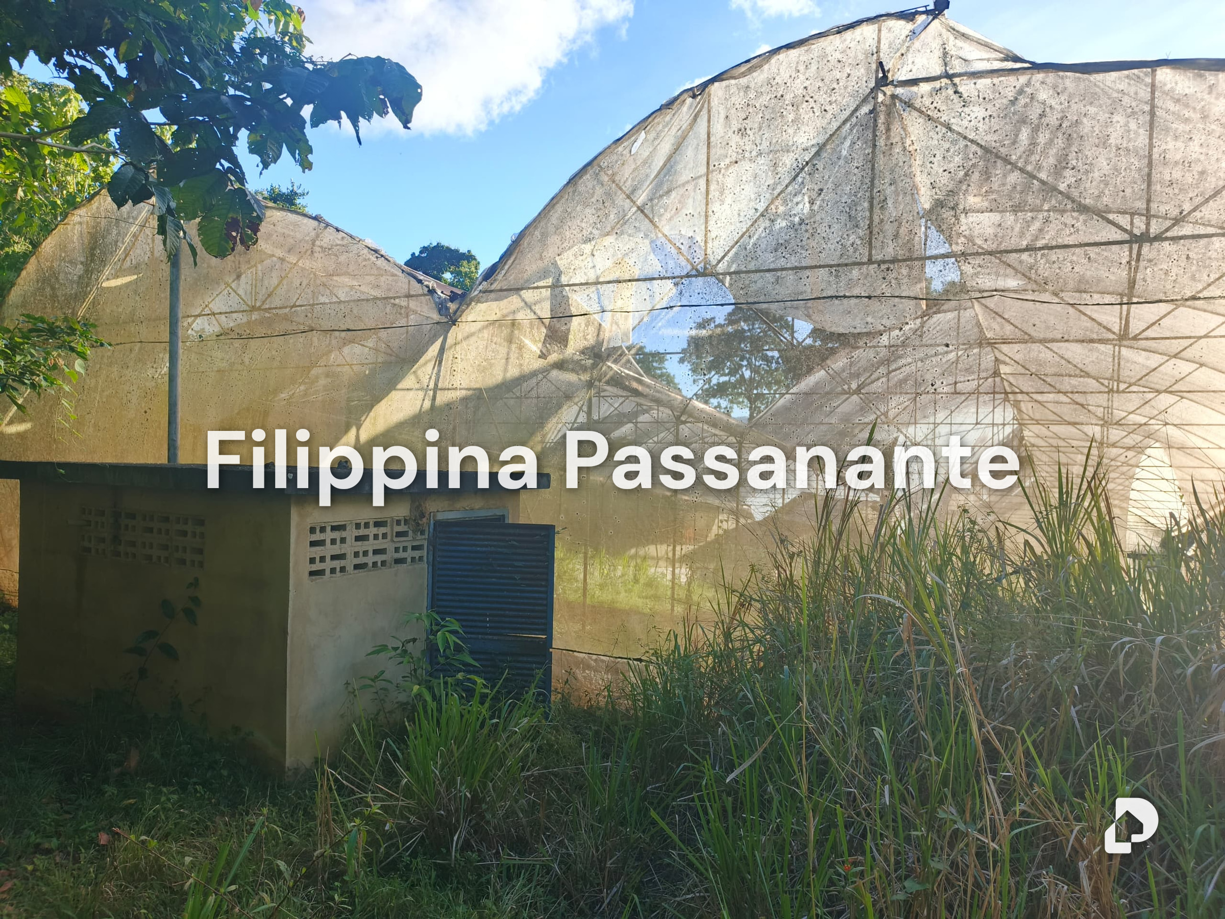 Finca en Teresen, Caripe – 5