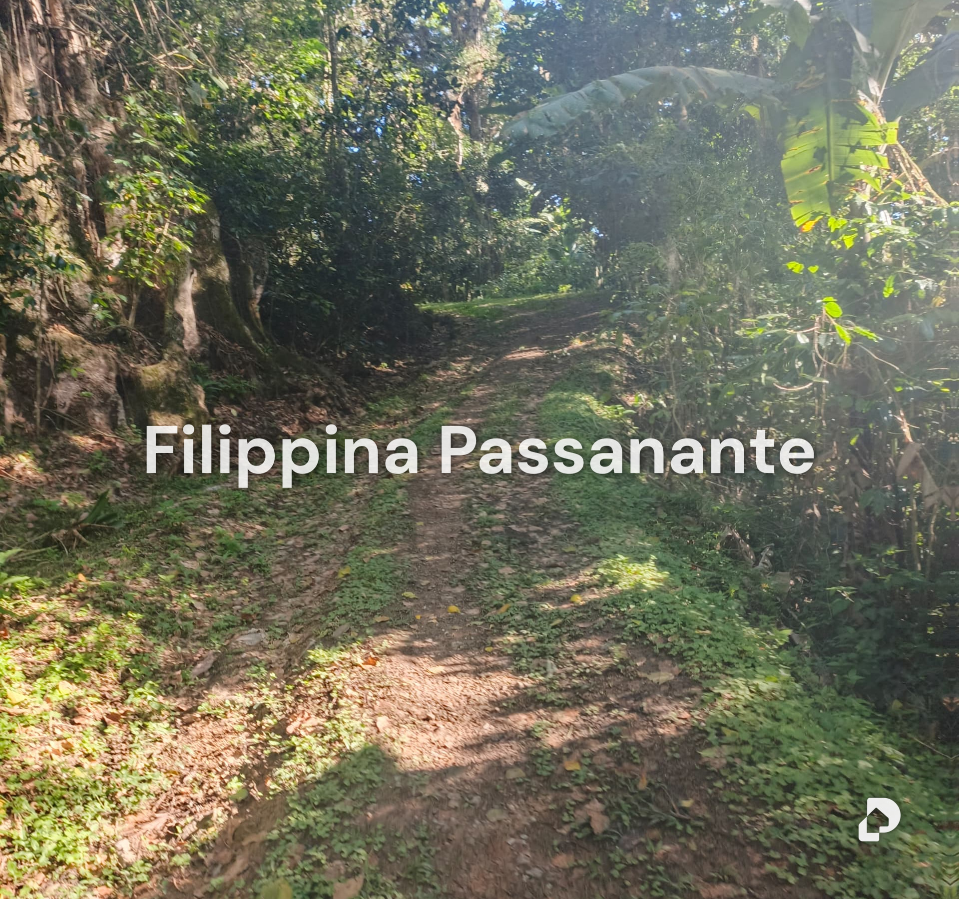 Finca en Teresen, Caripe – 7