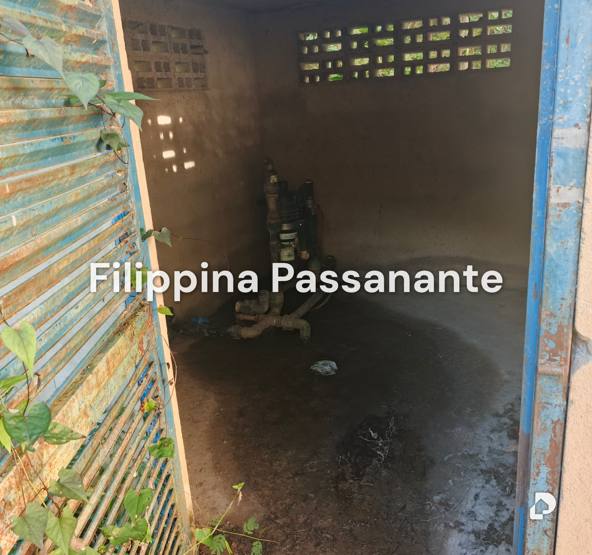 Finca en Teresen, Caripe – 4