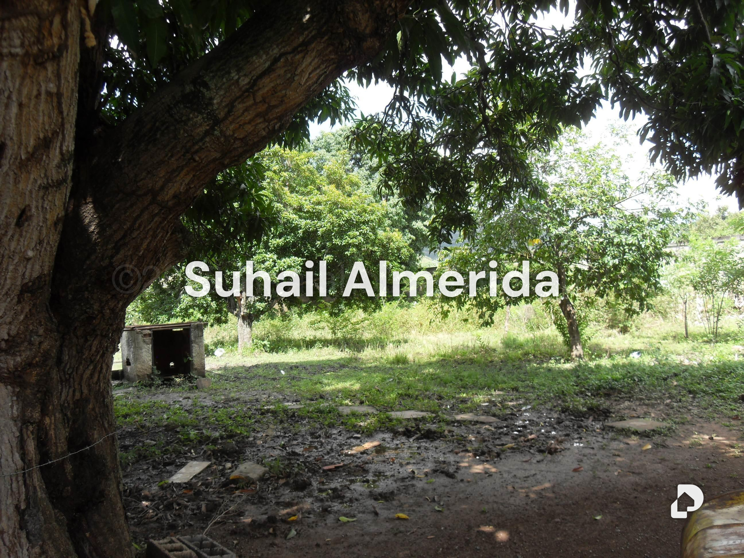 Terreno en Yagua, Guacara – 7