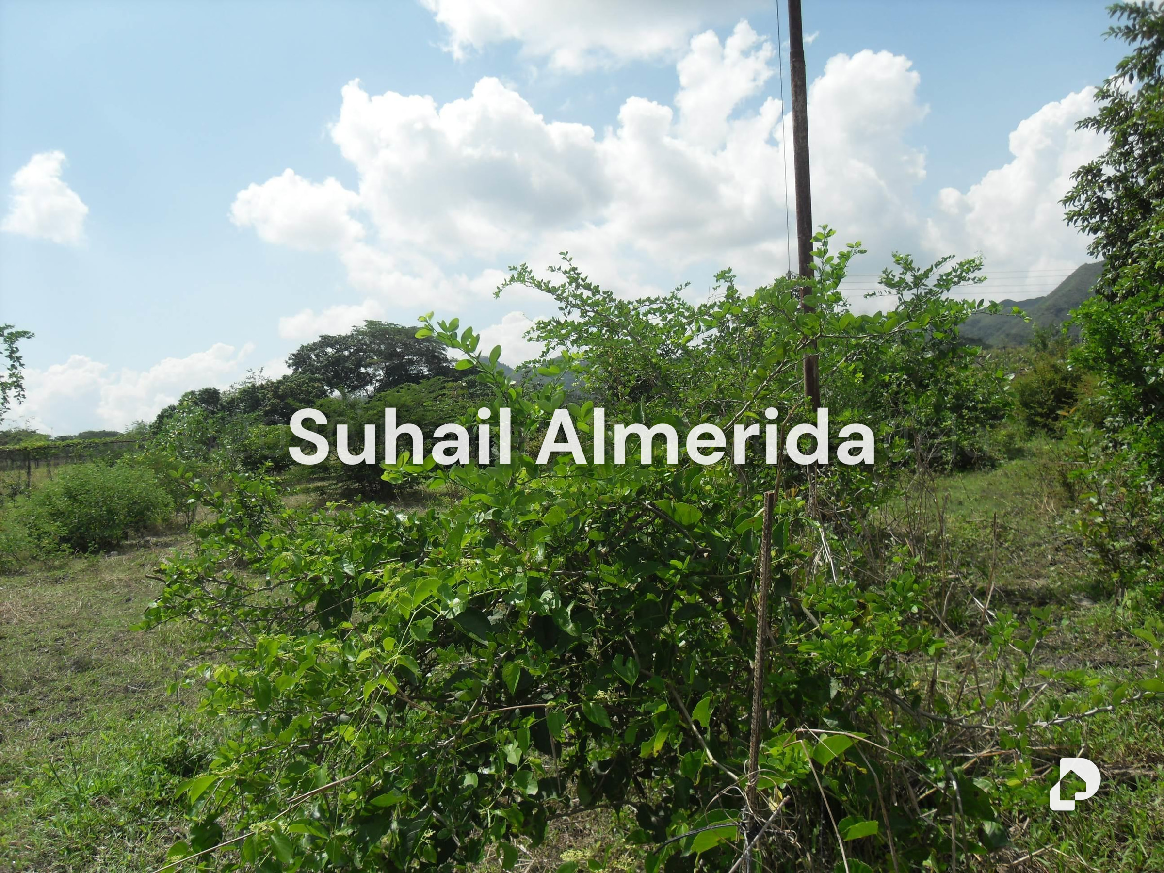 Terreno en Yagua, Guacara – 12