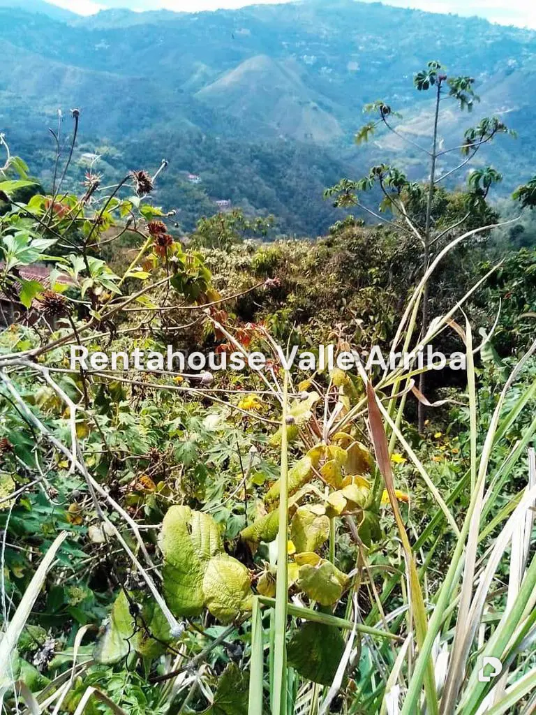 Terreno en Sabaneta, Caracas – 14