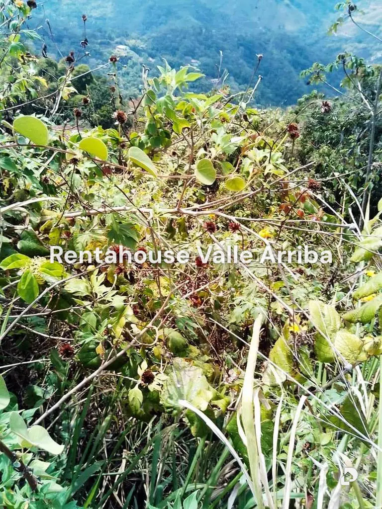 Terreno en Sabaneta, Caracas – 12