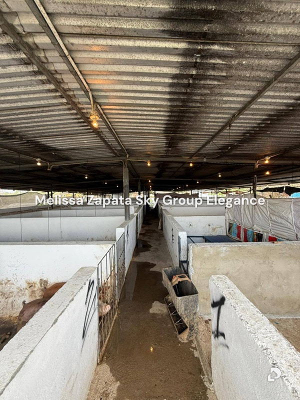 Finca en Chivacoa – 3